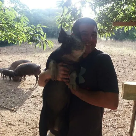 La Granja Del Cerdo Perfecto * A Coruña